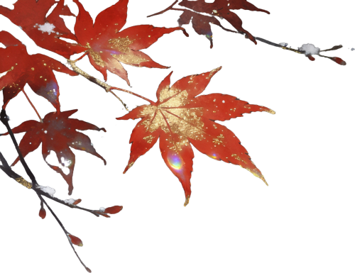 retouch 2026032510204572