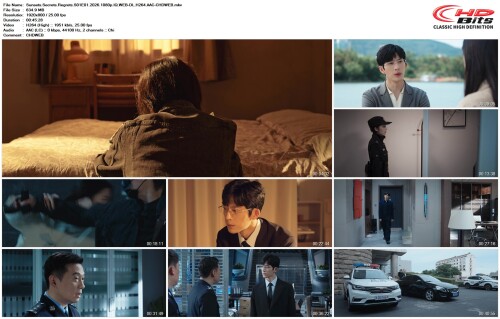 Sunsets.Secrets.Regrets.S01E01.2026.1080p.IQ.WEB DL.H264.AAC CHDWEB.mkv