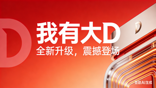 大D的含义说明 (1)