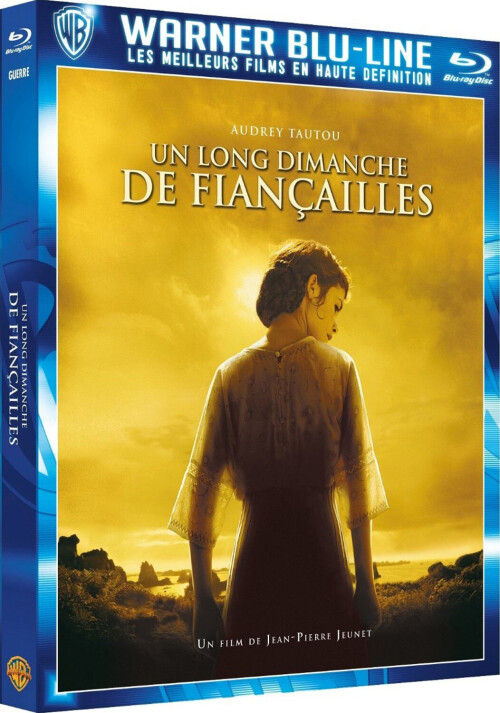 漫长的婚约 海报