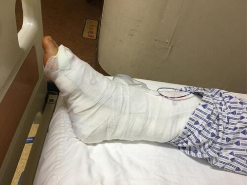 u=3402165853,124143655&fm=253&fmt=auto&app=138&f=JPEG