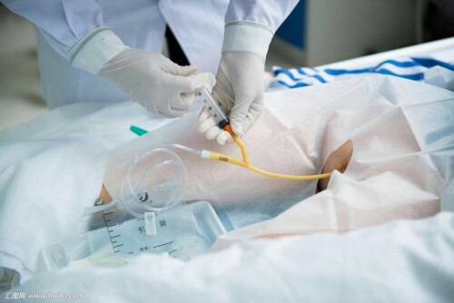 u=1449581552,2875156507&fm=253&fmt=auto&app=138&f=JPEG