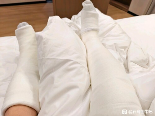 cc4768ed2e738bd4353c892ce78b87d6267ff985