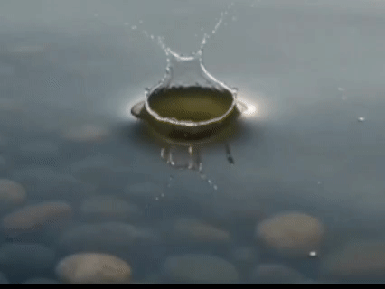 湖面上的圆形水波