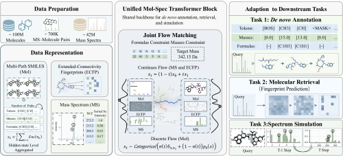 framework v13 final final