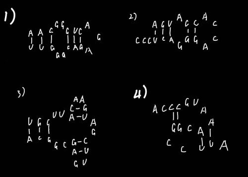 1c2ec17e659d978652f4ec6d8300e84