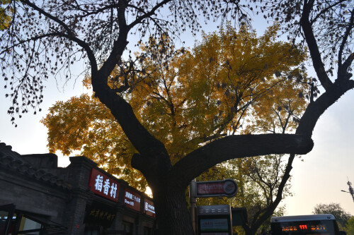 DSC 0403