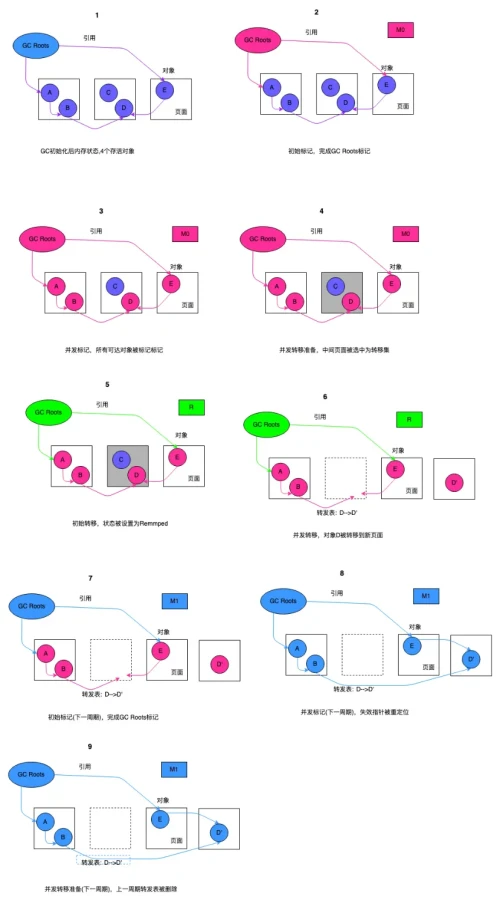 ZGC过程演示