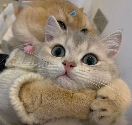 20210114112837 f8b12