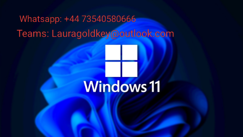 windows01