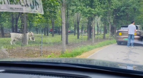 a9795303d12a42ea9cf2ca3df60cdb7a