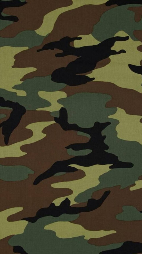 desktop-wallpaper-green-camo-green-camouflage-8ae25842e21438ee3844d9f01e765aea.jpg