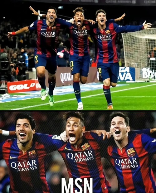 MSN_1__-e2a2e294d733a2fc7c2811a21eee53bb.jpg