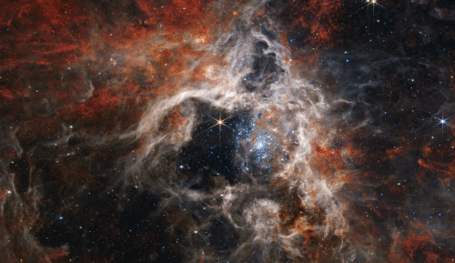 stsci-01ga76rm0c11w977jrhgj5j26x-2-085edc78622079d8dde2afc5029869a3.png