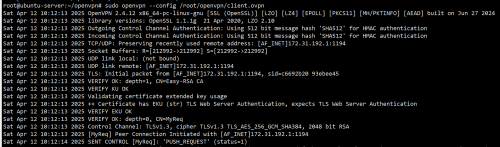 启动openvpn client