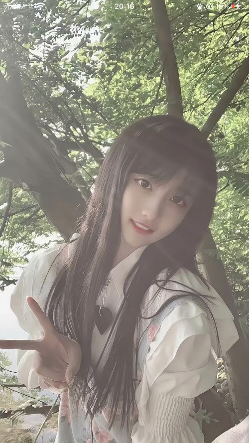 微信图片 20241211163046