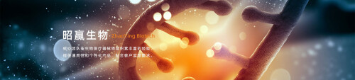 zhaoying banner2