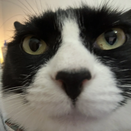 com.xingin.xhs 20250802012426