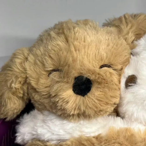 com.xingin.xhs 20251016125536