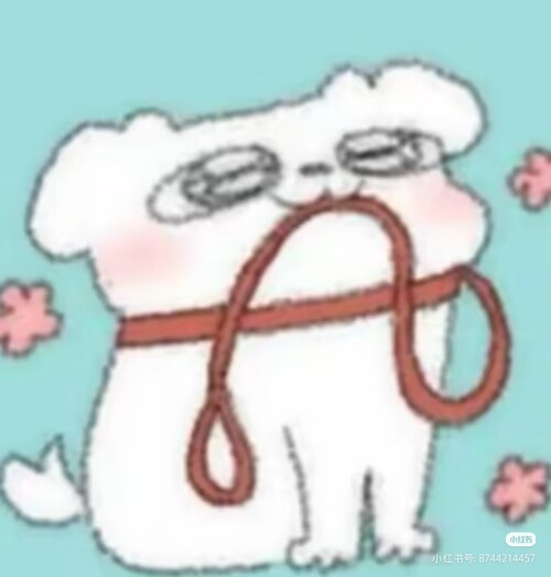 Camera XHS 1776820543670