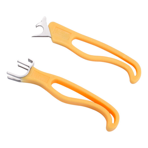 21634060196 1128998934