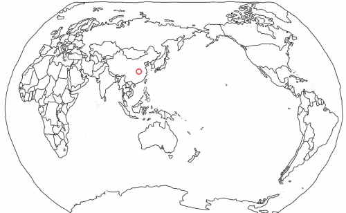 1000264191