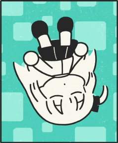 18c57f98f295638d3a9157d35bc41d90f0a900cf-0f818b116c9d27ad2ab02f711ee188e5.gif