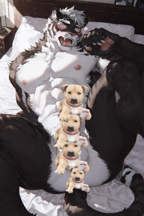 retouch 2026042311161088