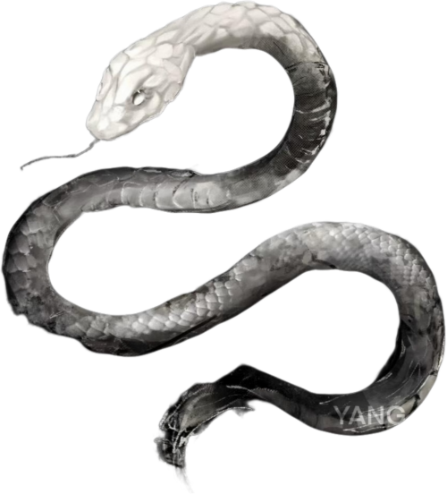 retouch 2026042023583017