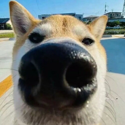 微信图片 2026 04 29 122256 665