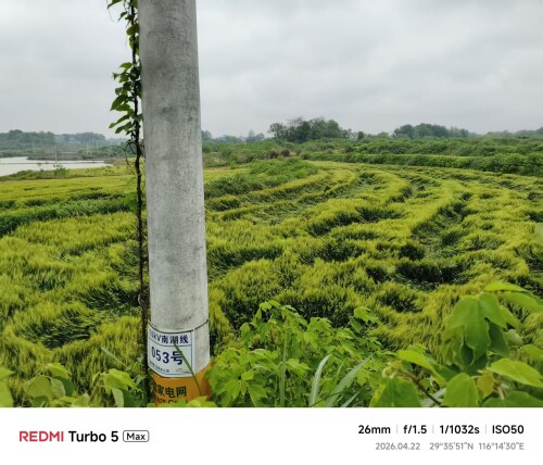 2ad09bd5ddaca9f733aa54c3064c0608