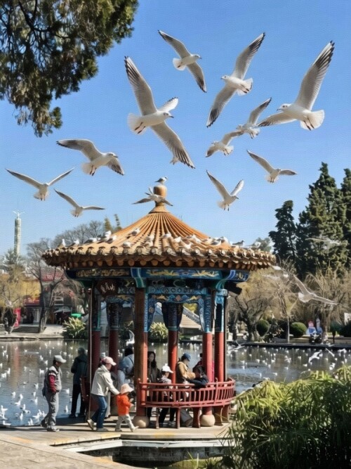 微信图片 20260208092820 25 2 副本