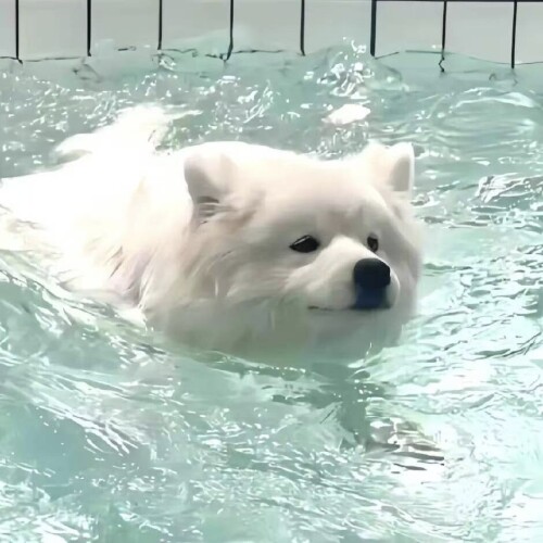 mmexport1770423307434