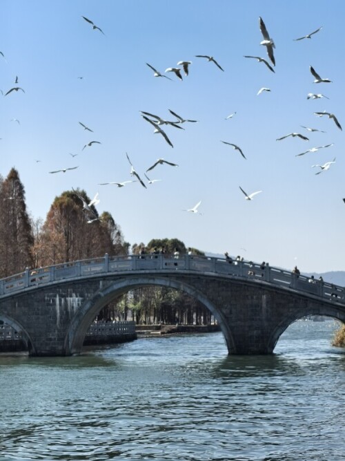 微信图片_20260208093039_111_2