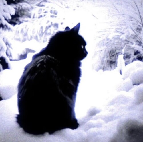 09065D6BBB94C38988B46247CB01A22F