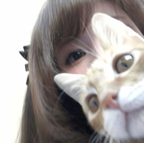Wechat 猫咪女头 1 ^L^ 来自小红书网页版