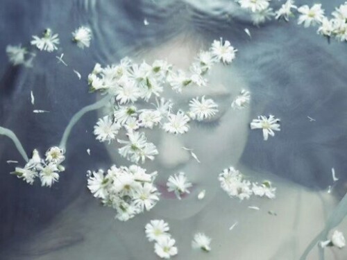 98ea0cd3237a634015abbebe81c0f47