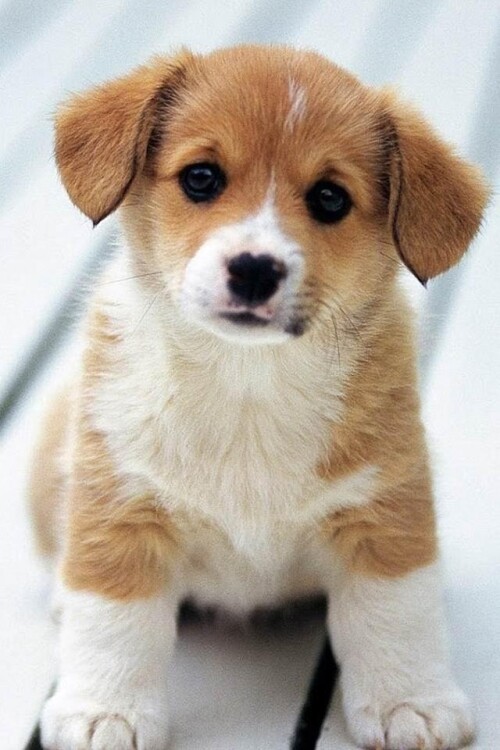 e2aedd30292fe57b628c2494b7265d42