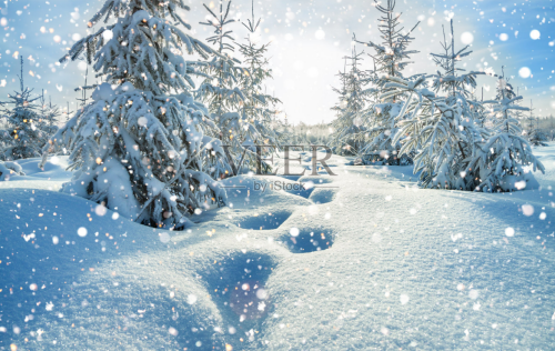  2026 01 14 142439 311