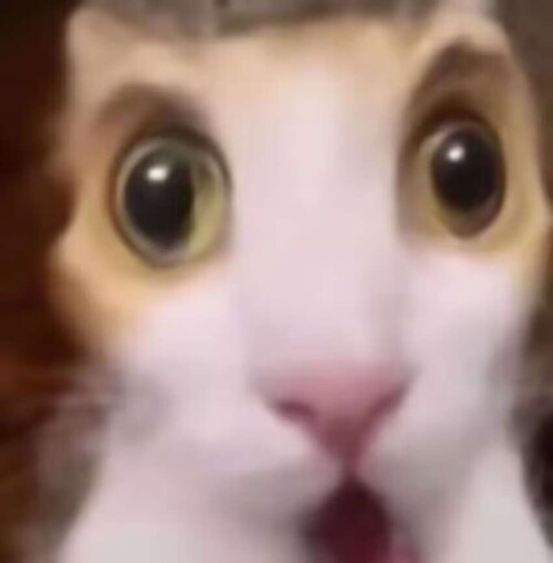 28128b55f6016f5ebd22e44c88eaeaa6