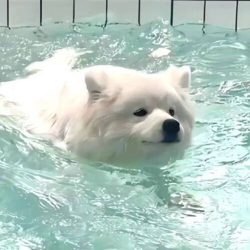 mmexport1767677573517