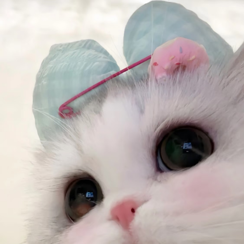 pic 20260206213050 0