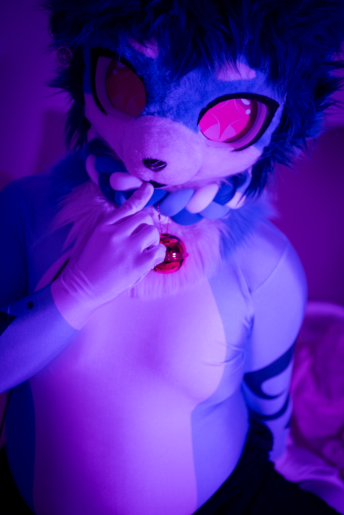 6f9dfe76 c313 42f8 89f7 1589a61f6242