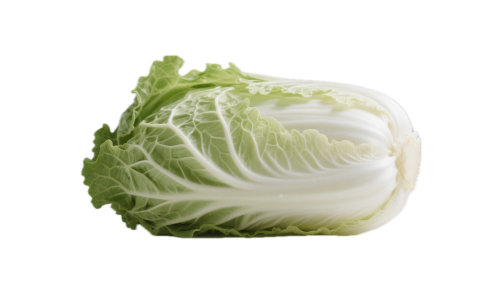 白菜