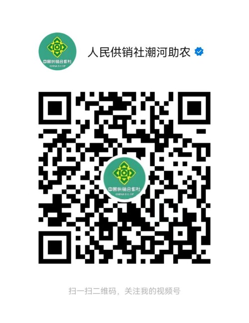 2fb9c6ebd6a2f687764a9df5b0b598c