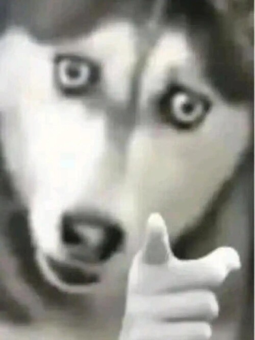 1749018200015