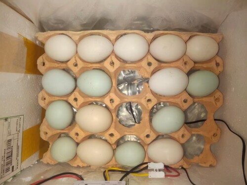 0-744f6abcedf0b249b14d6c5fe9cabaa3