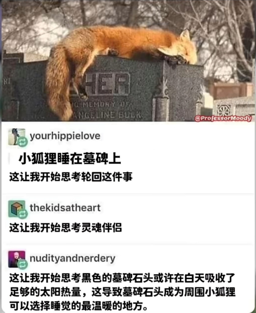 image-79b56003a0f821685dbdbd10628658a7.png