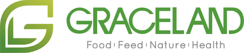 logo-74699e8c457eef73807c4b1b27261998.png
