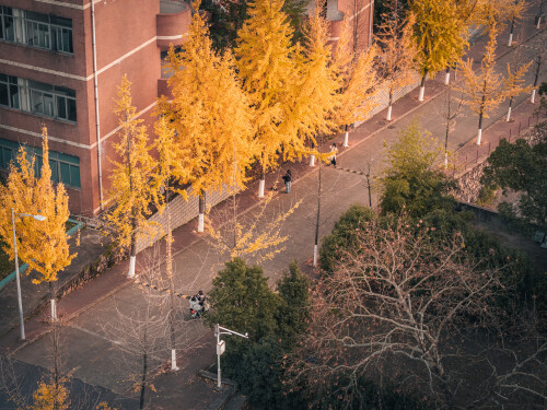 DJI_20241220171808_0199_D-1dd8403f3a4c970655e0a836cdf3fd41.jpg